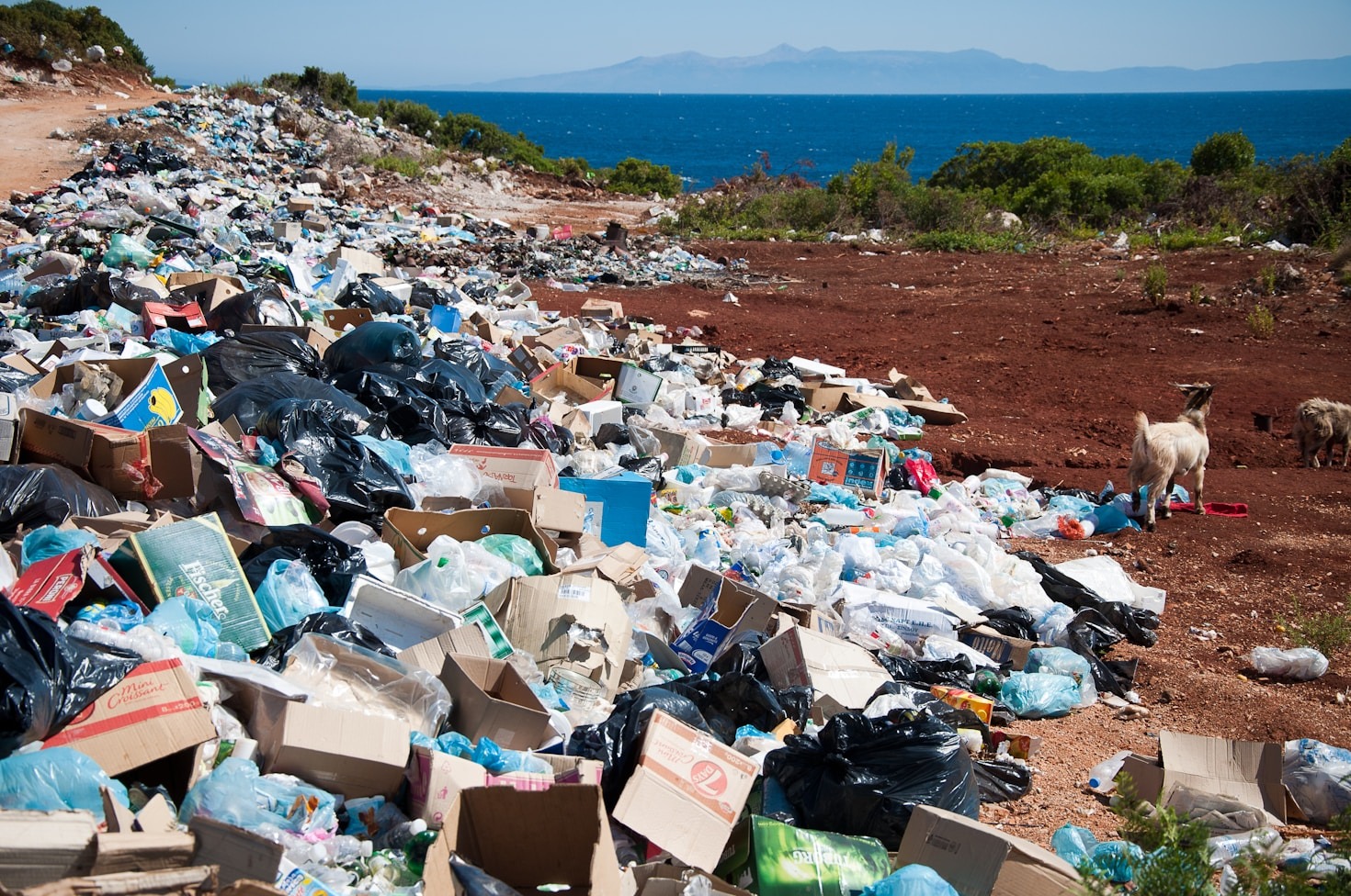 Come organizzare una giornata di pulizia spiaggia