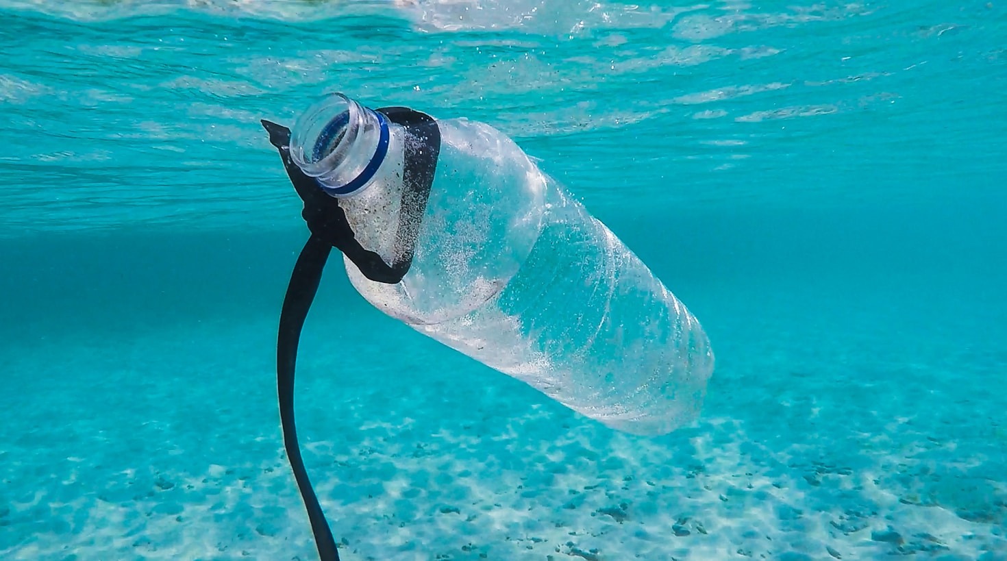 I danni nascosti della plastica nei laghi