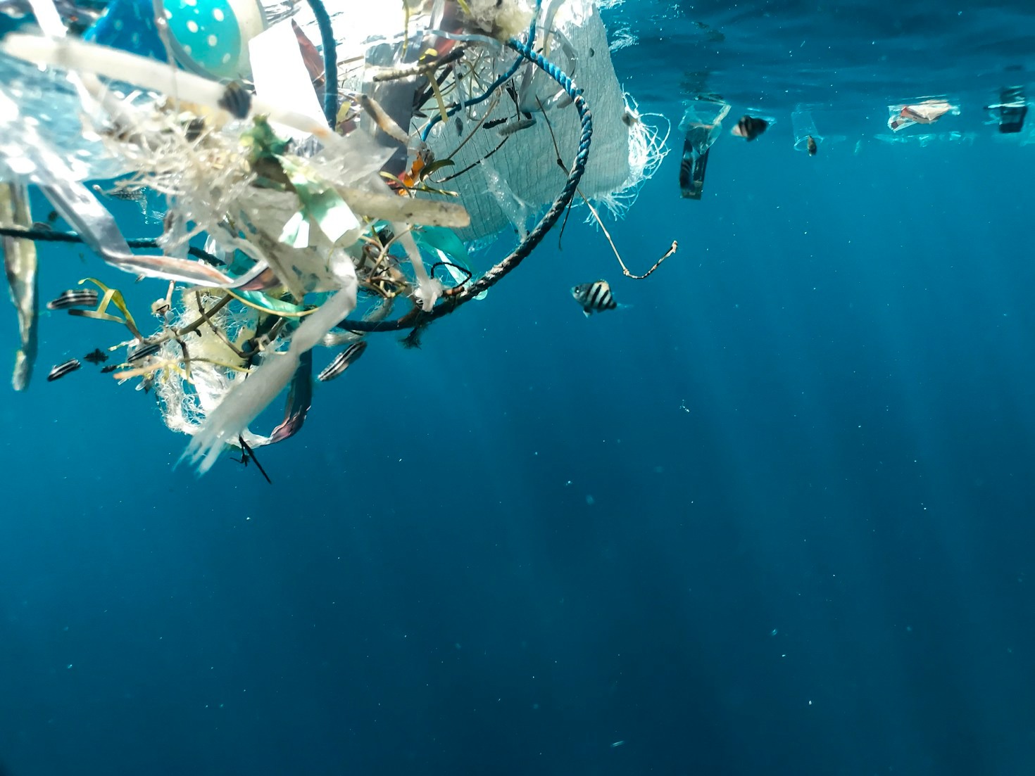 Innovazioni tecnologiche per pulire i nostri oceani